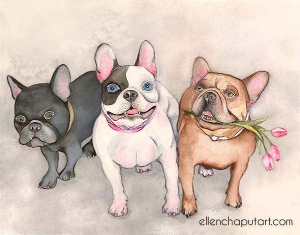 Frenchies